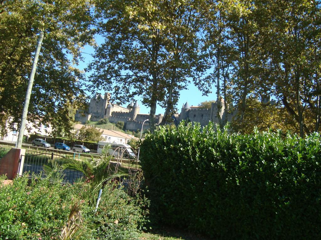 Chambres D'Hotes Les Palmiers De La Cite Carcassonne Luaran gambar