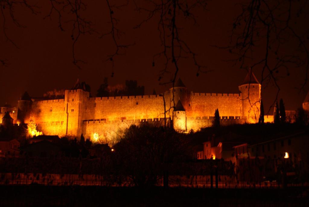 Chambres D'Hotes Les Palmiers De La Cite Carcassonne Luaran gambar