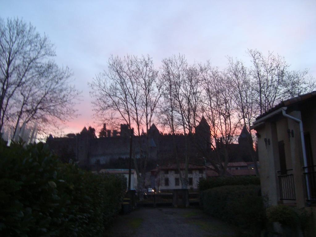 Chambres D'Hotes Les Palmiers De La Cite Carcassonne Luaran gambar